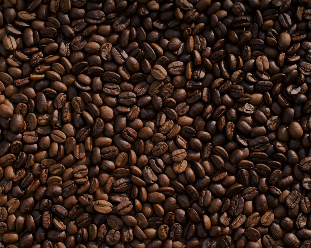 Huehuetenango Guatemala specialty coffee